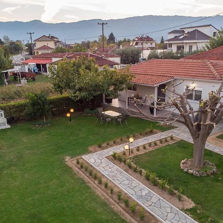 Castellano Vasiliki Villa Vasiliki  Dış mekan fotoğraf
