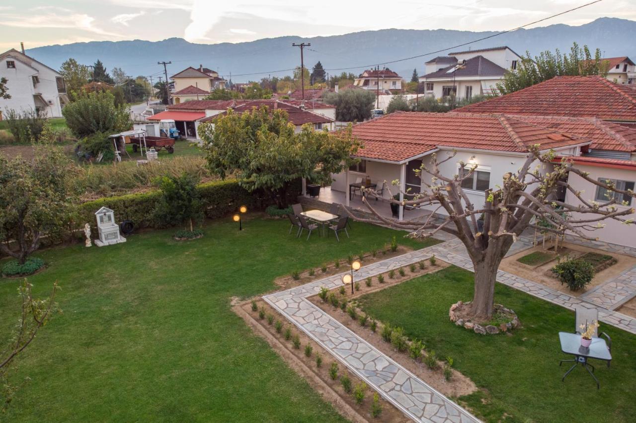 Castellano Vasiliki Villa Vasiliki  Dış mekan fotoğraf